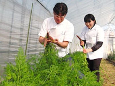  ノワドココの清水光シェフ